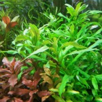 大宝塔-缩略图-5