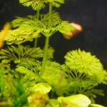 小宝塔-缩略图-3