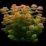 小宝塔-缩略图-4