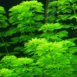 小宝塔-缩略图-5