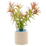 红头趴趴熊-缩略图-5