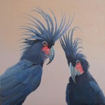 棕榈凤头鹦鹉-缩略图-4