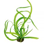 大喷泉-缩略图-1