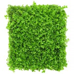 迷你矮珍珠-缩略图-7