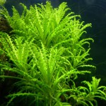 喷泉太阳-缩略图-11