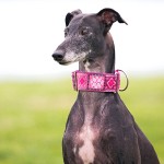 灵𤟥-缩略图-13